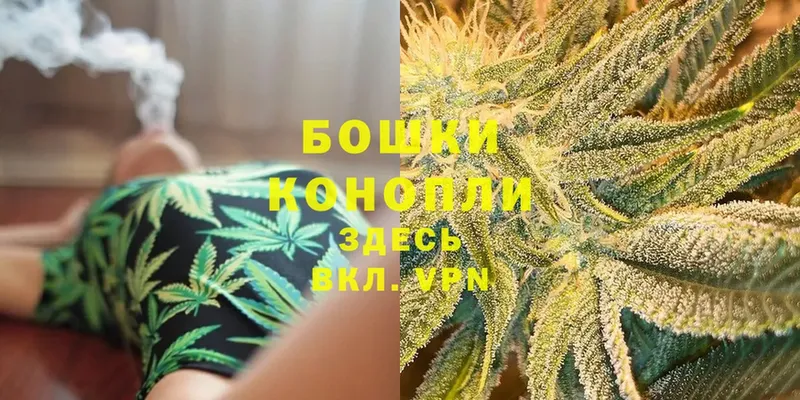 где продают   blacksprut ССЫЛКА  Бошки Шишки White Widow  Безенчук 